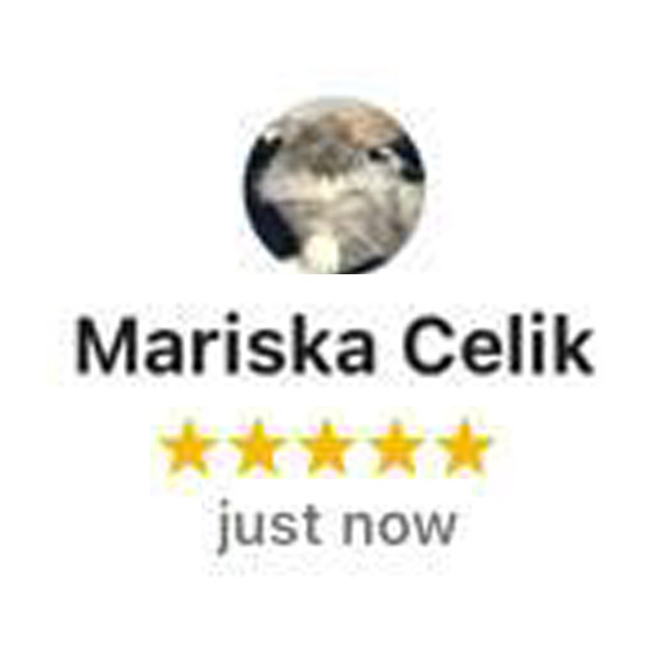 Mariska Celik - Chicago